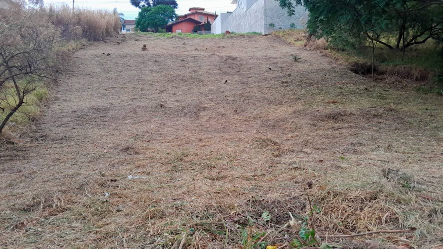 Foto 1 de 3: Terreno em leilão em São Carlos - SP — Terreno no Parque Santa Mônica em São Carlos/SP