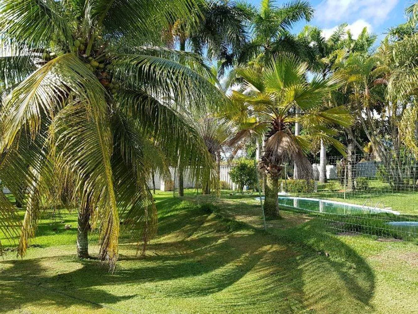Foto 23 de 25: Casa em leilão em Nísia Floresta - RN, bairro Nísia Floresta — Casa no Espaço Sul em Nísia Floresta/RN