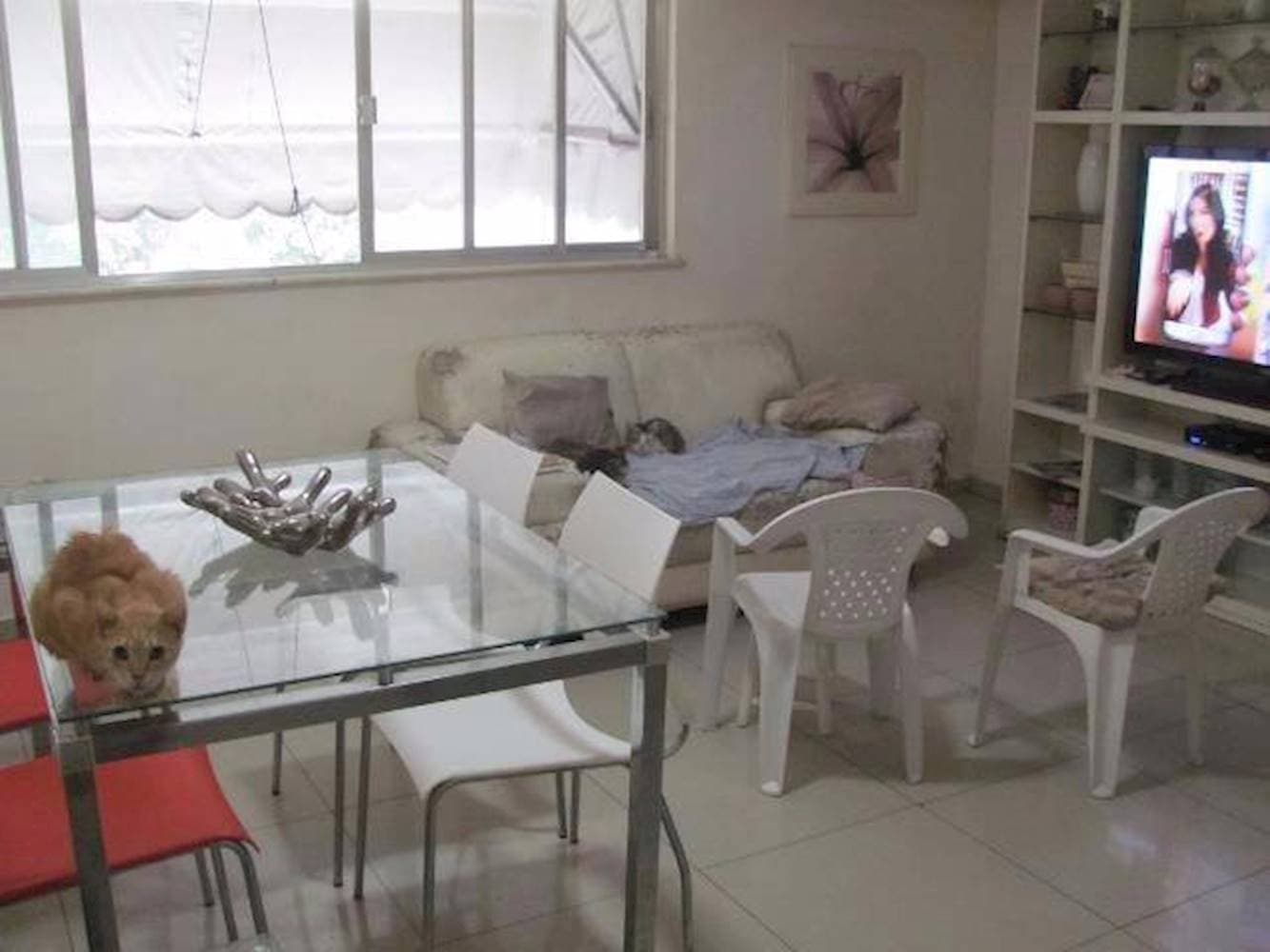 Foto 8 de 13: Apartamento em leilão em Rio De Janeiro - RJ, bairro Catumbi — Apartamento no Catumbi - Rio De Janeiro/RJ