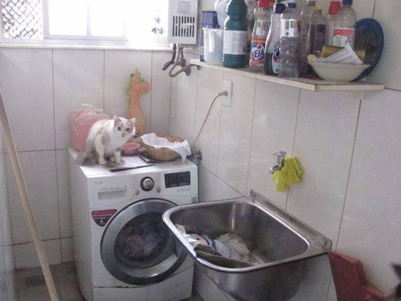Foto 11 de 13: Apartamento em leilão em Rio De Janeiro - RJ, bairro Catumbi — Apartamento no Catumbi - Rio De Janeiro/RJ