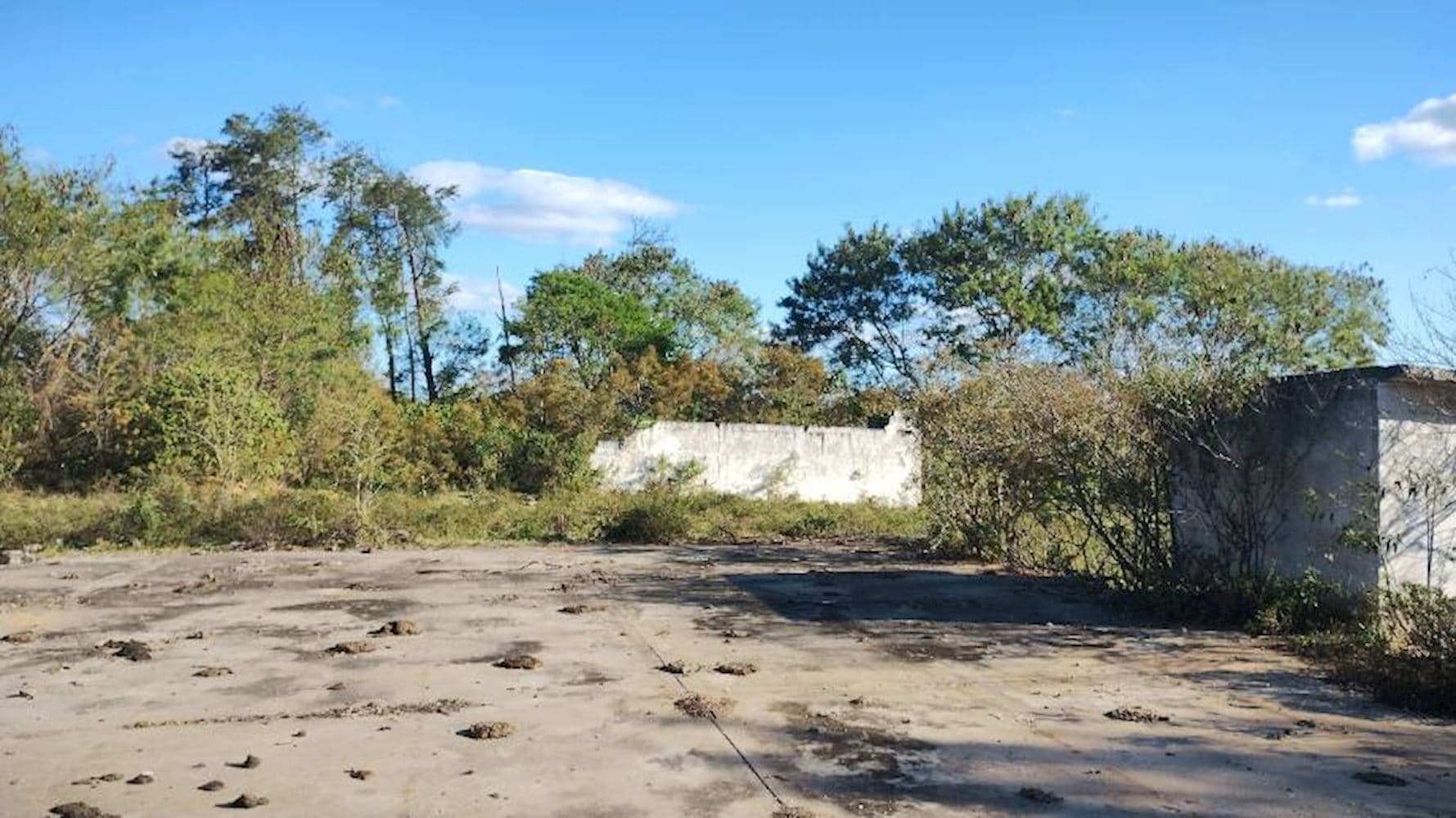 Foto 2 de 8: Terreno em leilão em Taubaté - SP, bairro Parque São Cristóvão — Terreno no Parque São Cristóvão em Taubaté/SP