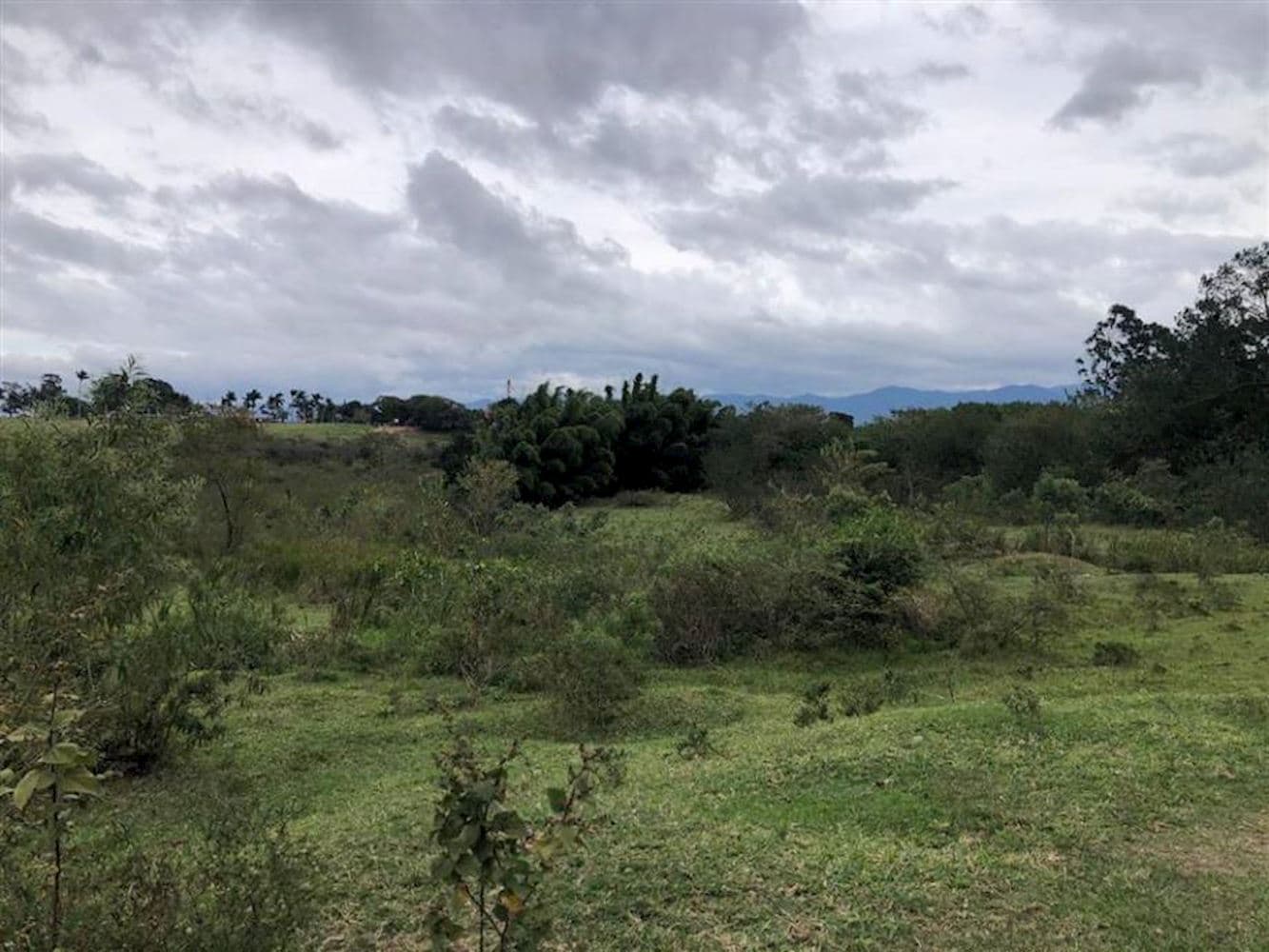 Foto 4 de 8: Terreno em leilão em Taubaté - SP, bairro Parque São Cristóvão — Terreno no Parque São Cristóvão em Taubaté/SP