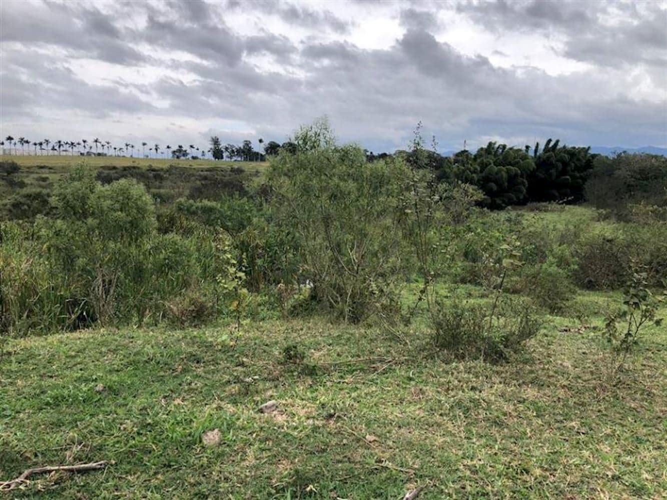 Foto 6 de 8: Terreno em leilão em Taubaté - SP, bairro Parque São Cristóvão — Terreno no Parque São Cristóvão em Taubaté/SP