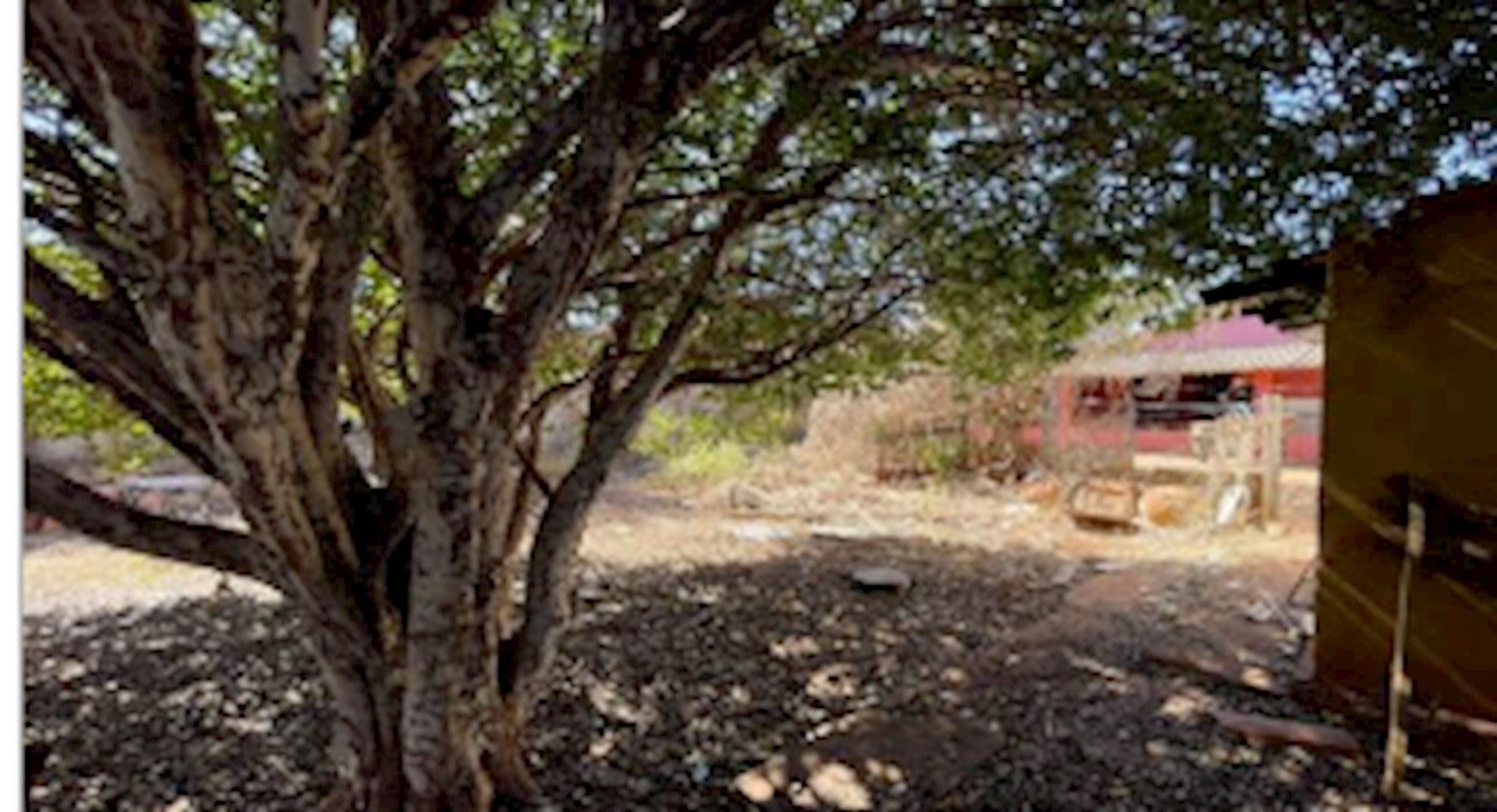 Foto 17 de 22: Casa em leilão em Quirinópolis - GO, bairro Pecuária — Casa no Bairro Pecuária em Quirinópolis/GO