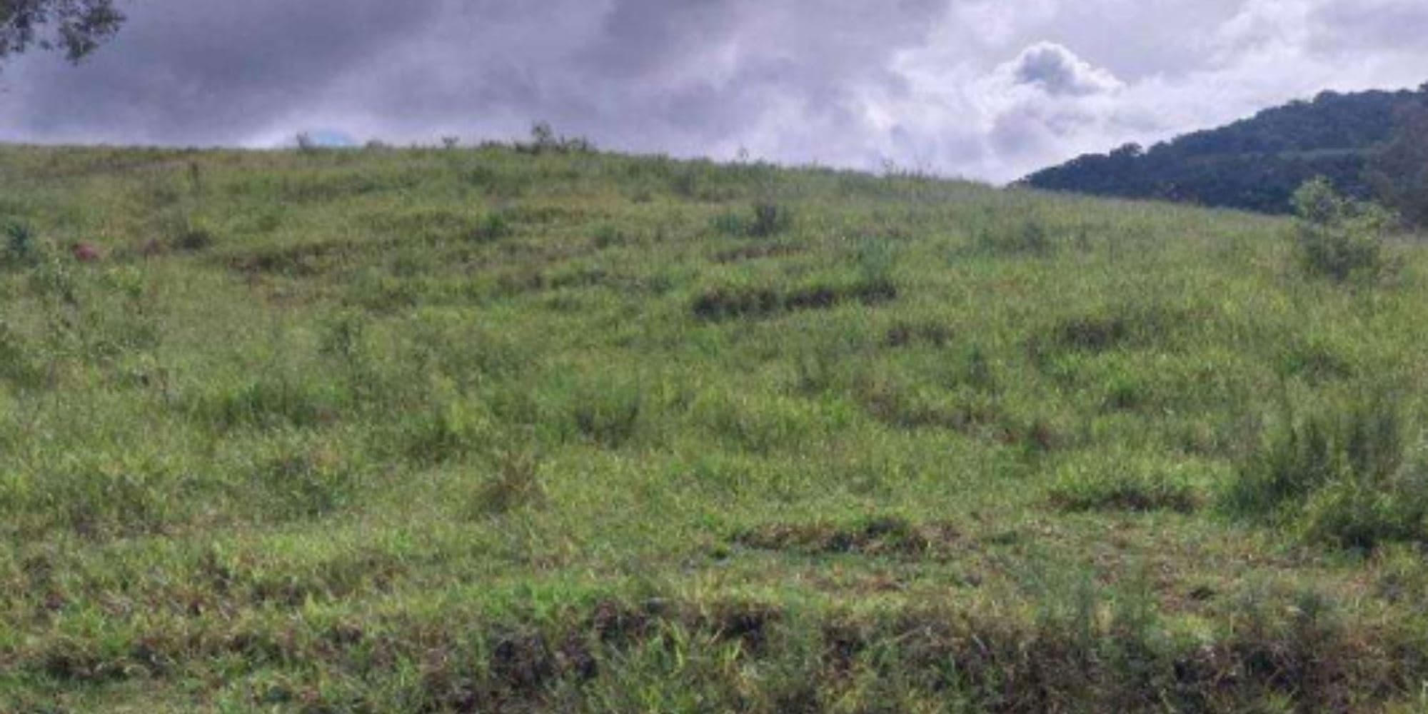 Foto 1 de 4: Area Rural em leilão em Cristina - MG, bairro Colônia Joaquim Delfino — Terreno na Colônia Joaquim Delfino - Cristina/MG