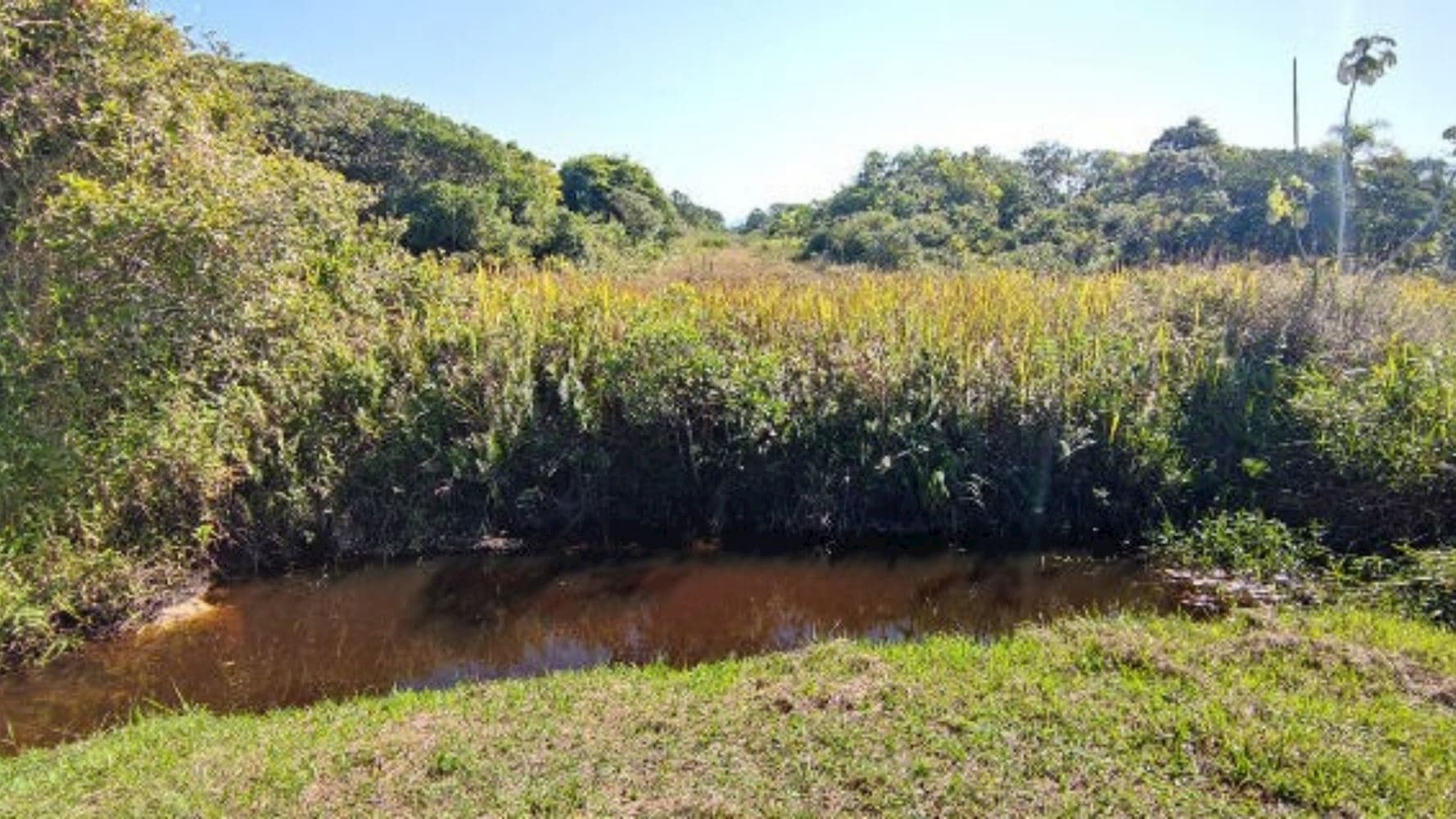 Foto 5 de 6: Terreno em leilão em Ilha Comprida - SP, bairro Balneário Guarapuava — Terreno no Balneário Guarapuava em Ilha Comprida/SP