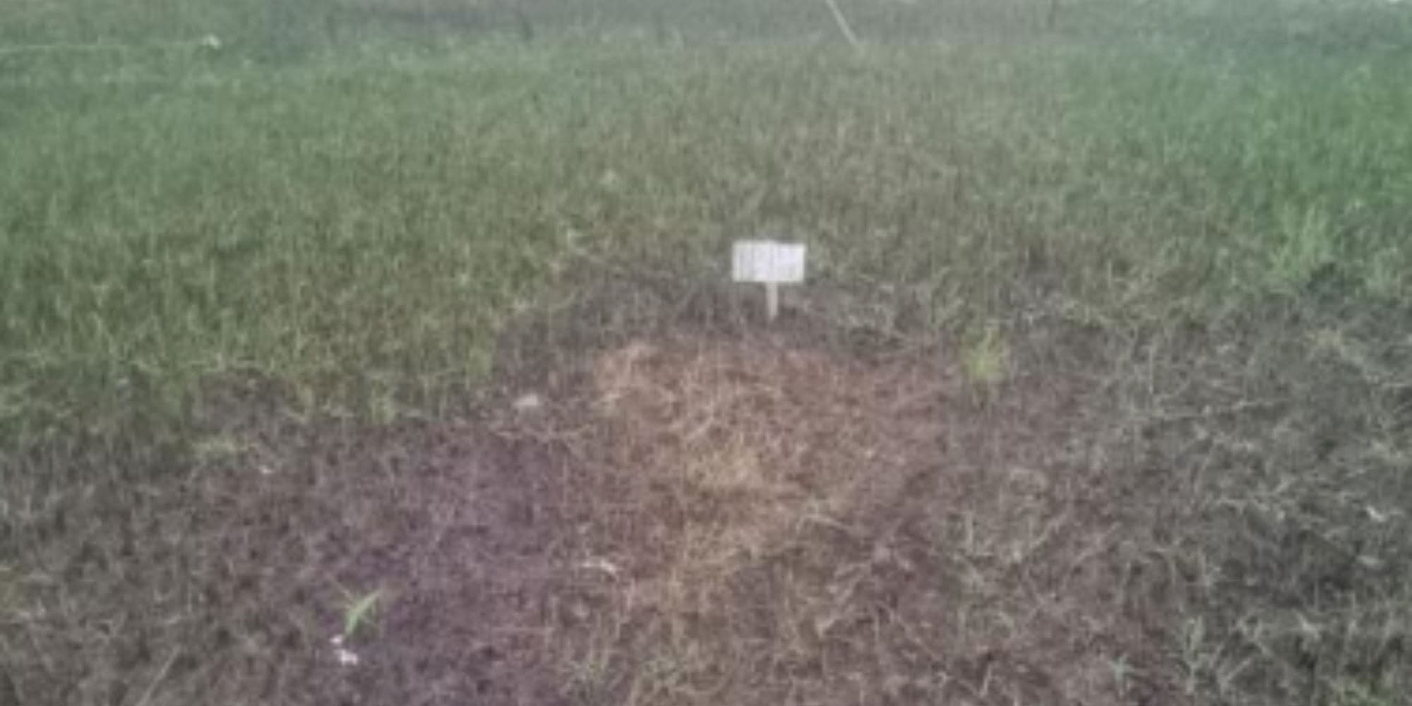 Foto 3 de 6: Terreno em leilão em Itaporanga D'ajuda - SE, bairro Vila Rica dos Abais — 02 Terrenos na Vila Rica dos Abais - Itaporanga D'Ajuda/SE