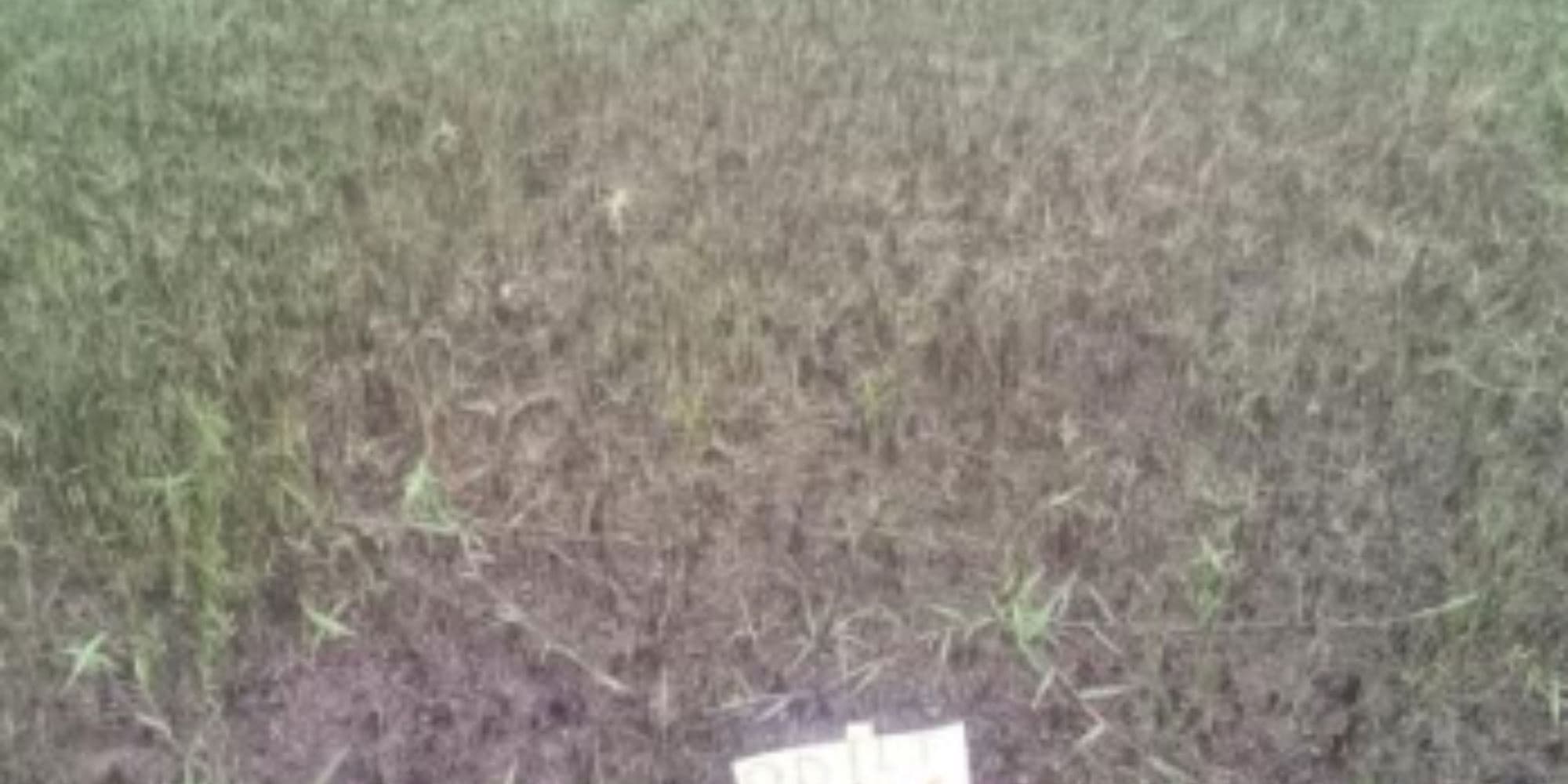 Foto 4 de 6: Terreno em leilão em Itaporanga D'ajuda - SE, bairro Vila Rica dos Abais — 02 Terrenos na Vila Rica dos Abais - Itaporanga D'Ajuda/SE