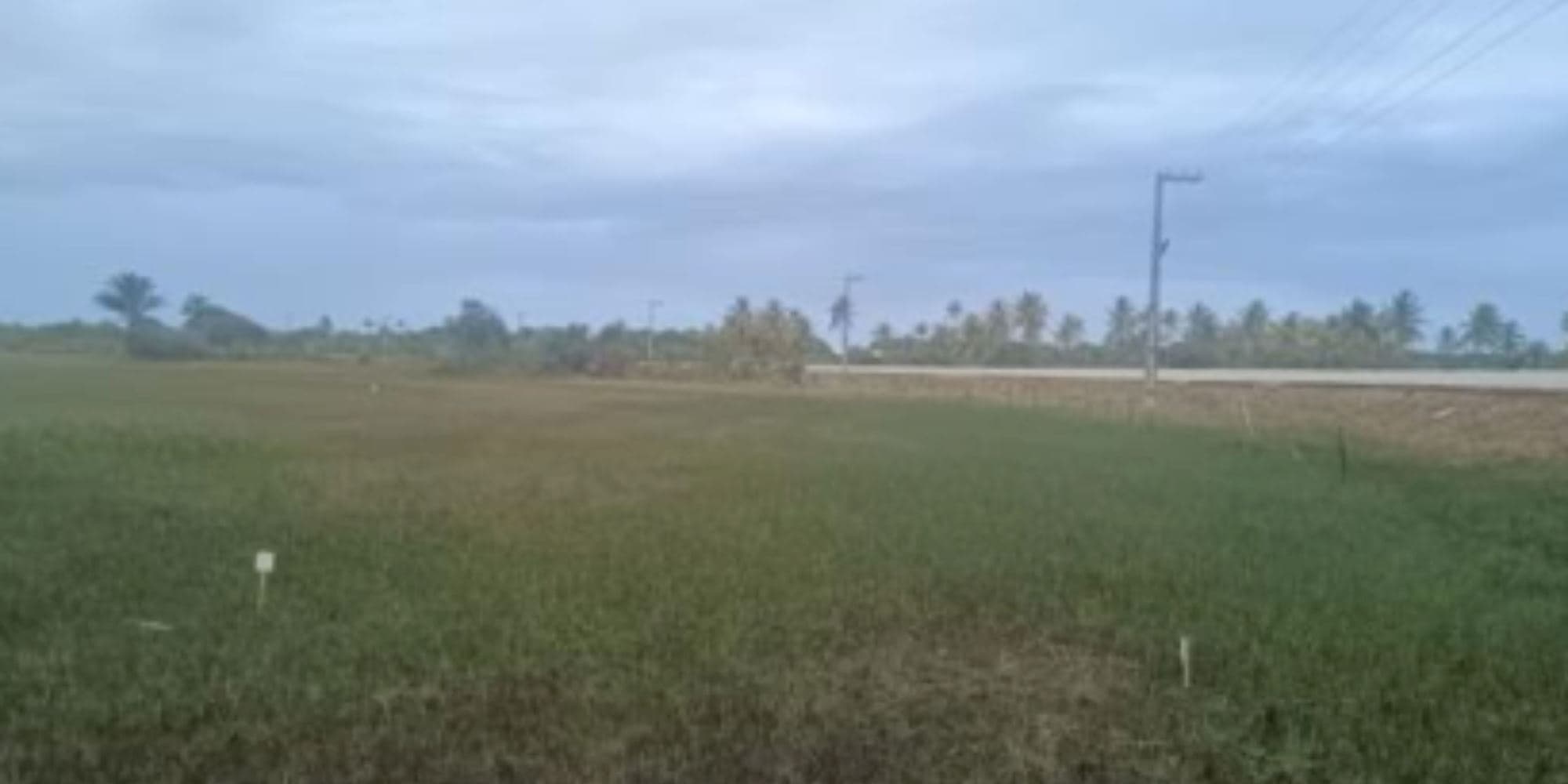 Foto 5 de 6: Terreno em leilão em Itaporanga D'ajuda - SE, bairro Vila Rica dos Abais — 02 Terrenos na Vila Rica dos Abais - Itaporanga D'Ajuda/SE