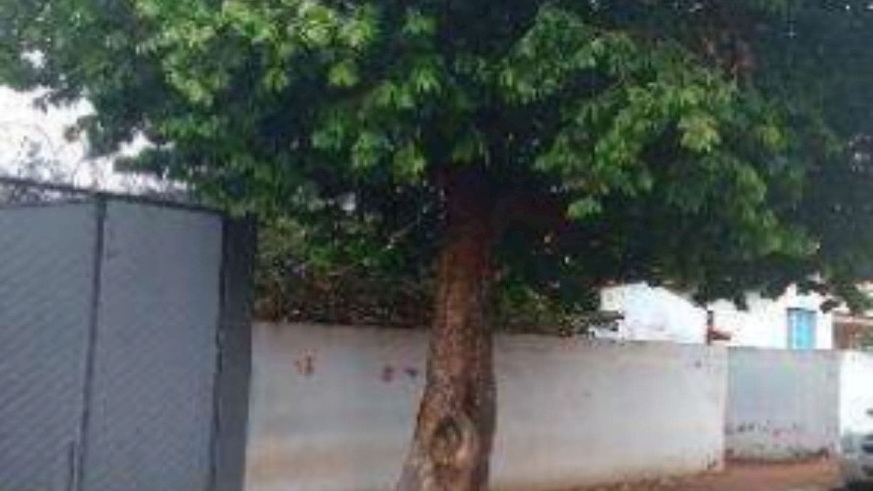 Foto 5 de 5: Comercial em leilão em Pirajuba - MG, bairro Centro — Imóvel Comercial no Centro de Pirajuba/MG