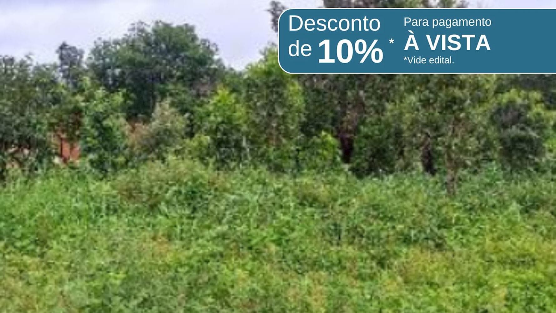 Foto 1 de 8: Terreno em leilão em Paraíso Do Tocantins - TO, bairro Jardim das Acácias — 06 Terrenos no Jardim das Acácias em Paraíso de Tocantins/TO