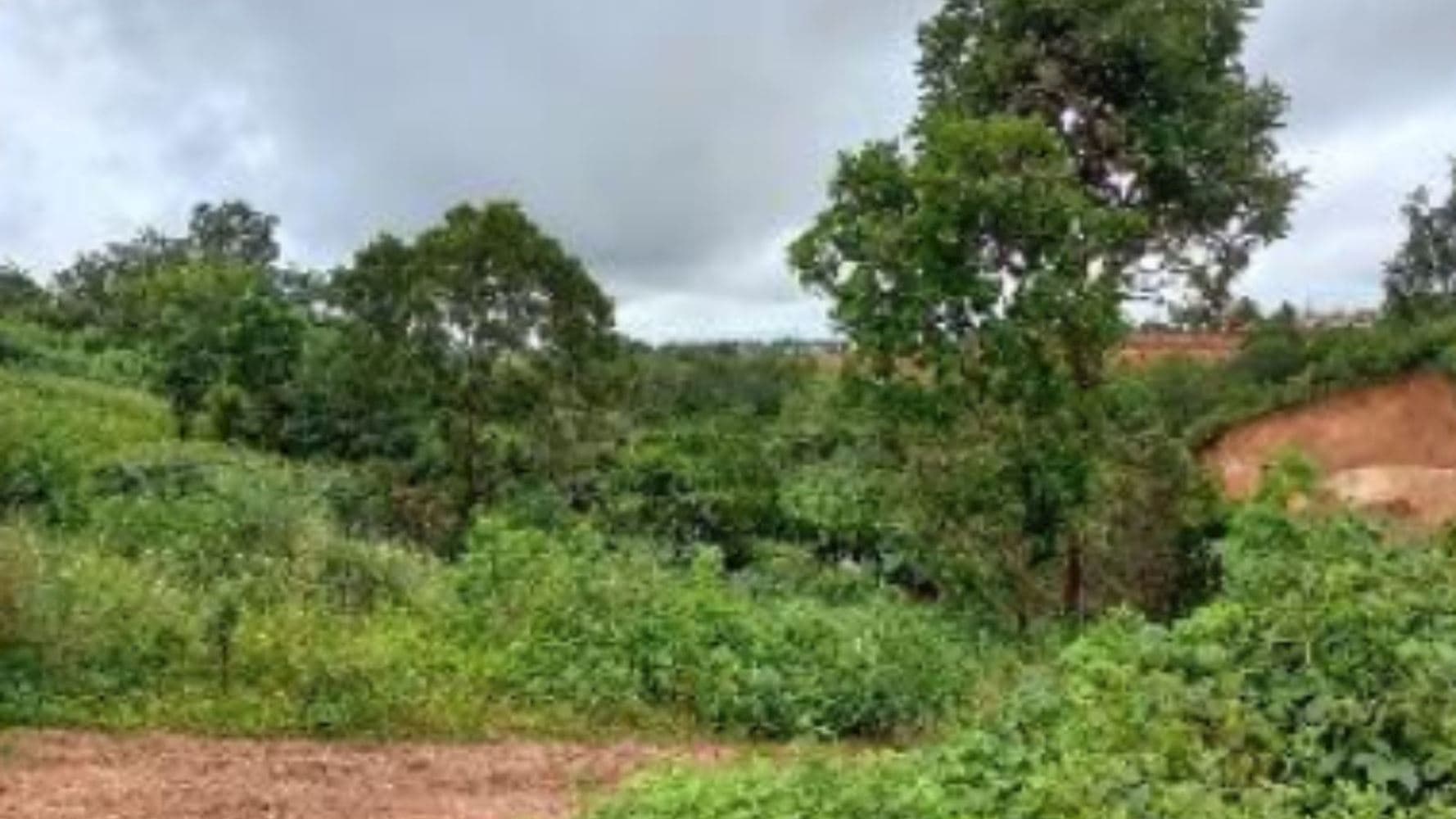 Foto 3 de 8: Terreno em leilão em Paraíso Do Tocantins - TO, bairro Jardim das Acácias — 06 Terrenos no Jardim das Acácias em Paraíso de Tocantins/TO