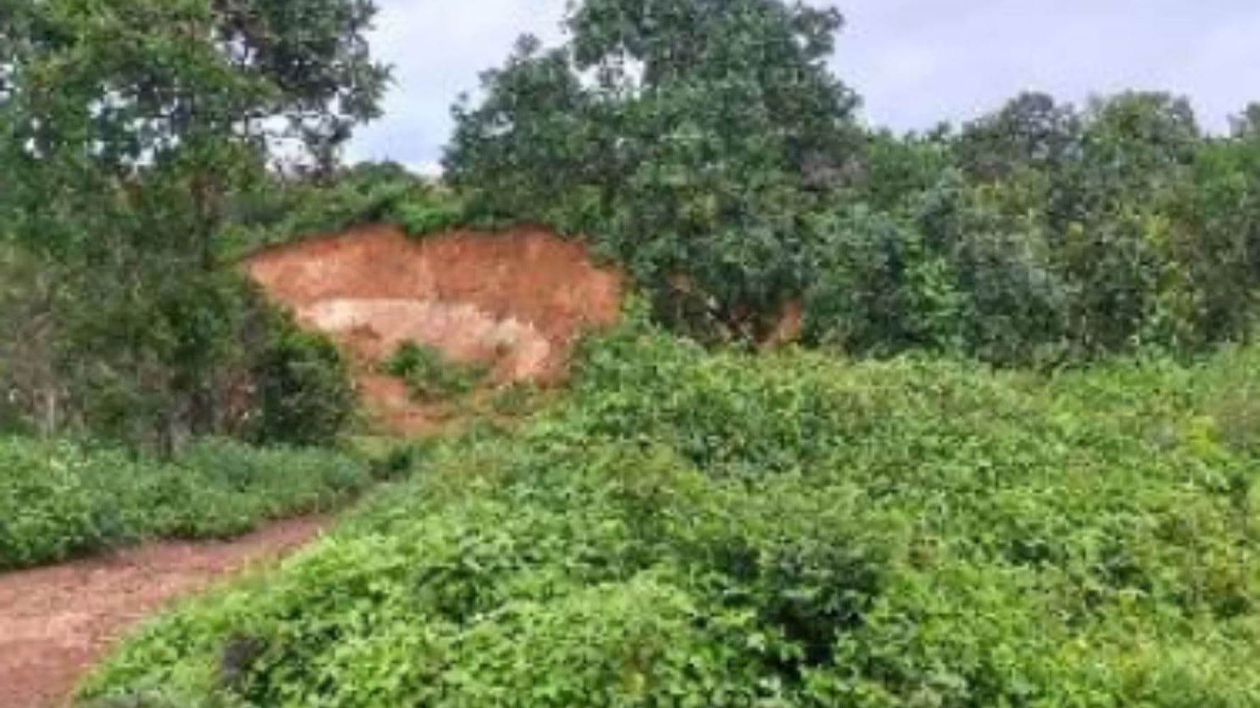 Foto 8 de 8: Terreno em leilão em Paraíso Do Tocantins - TO, bairro Jardim das Acácias — 06 Terrenos no Jardim das Acácias em Paraíso de Tocantins/TO