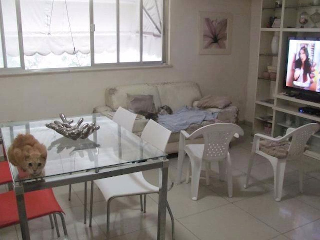 Foto 5 de 11: Apartamento em leilão em Rio De Janeiro - RJ, bairro Catumbi — Apartamento no Catumbi - Rio De Janeiro/RJ
