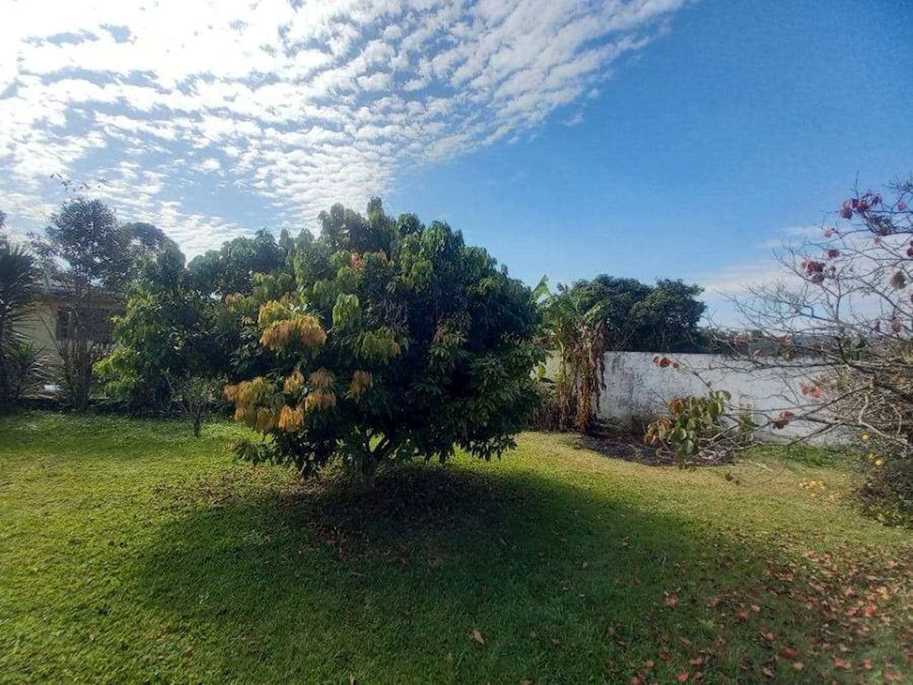 Foto 10 de 13: Casa em leilão em Suzano - SP — Casa em Chácara Recreio Internacional - Suzano/SP