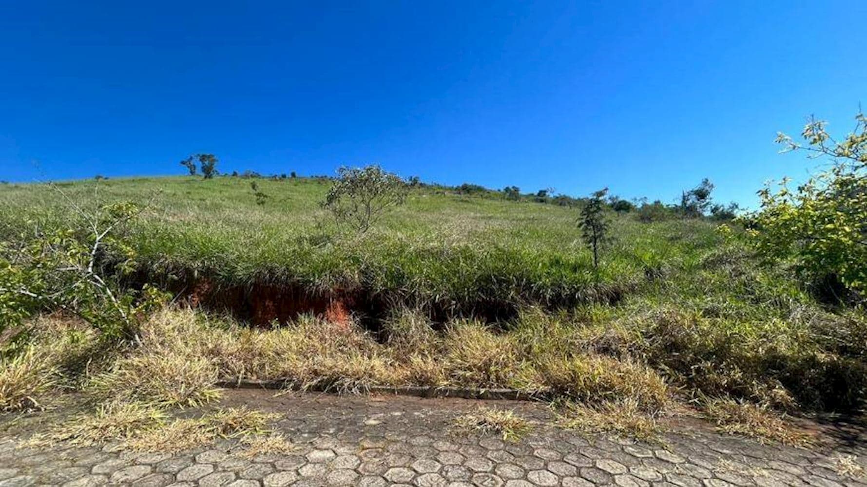 Foto 5 de 5: Terreno em leilão em Itamonte - MG, bairro Centro — Terreno no Centro em Itamonte/MG
