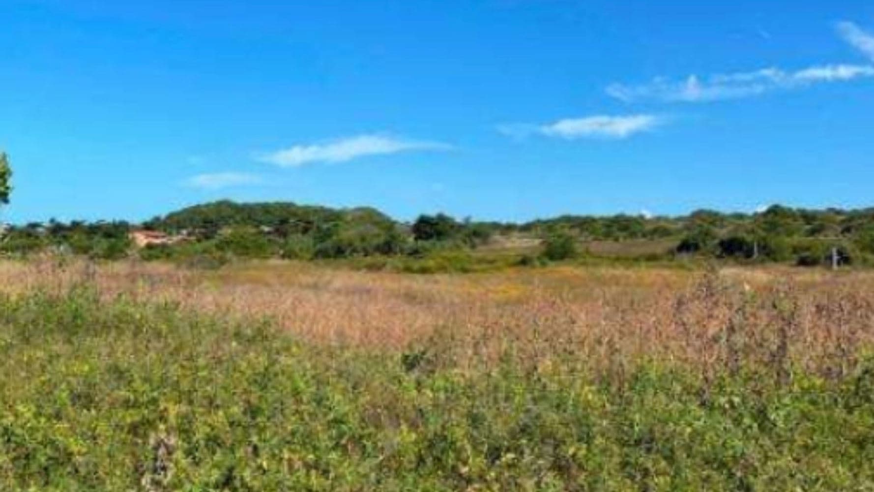 Foto 3 de 5: Terreno em leilão em Fortaleza - CE, bairro Antônio Diogo — Terreno em Antônio Diogo - Fortaleza/CE