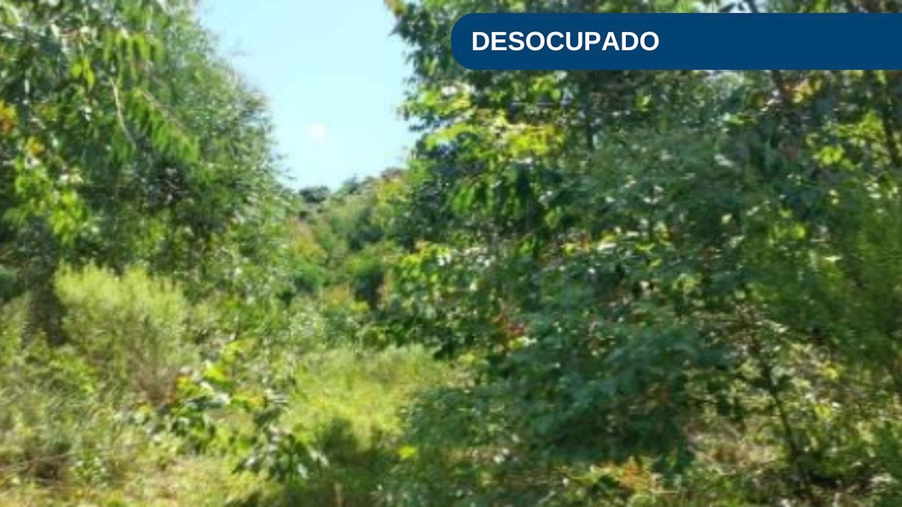 Foto 1 de 7: Terreno em leilão em Vila Maria - RS — Terreno na Zona Rural - Vila Maria/RS