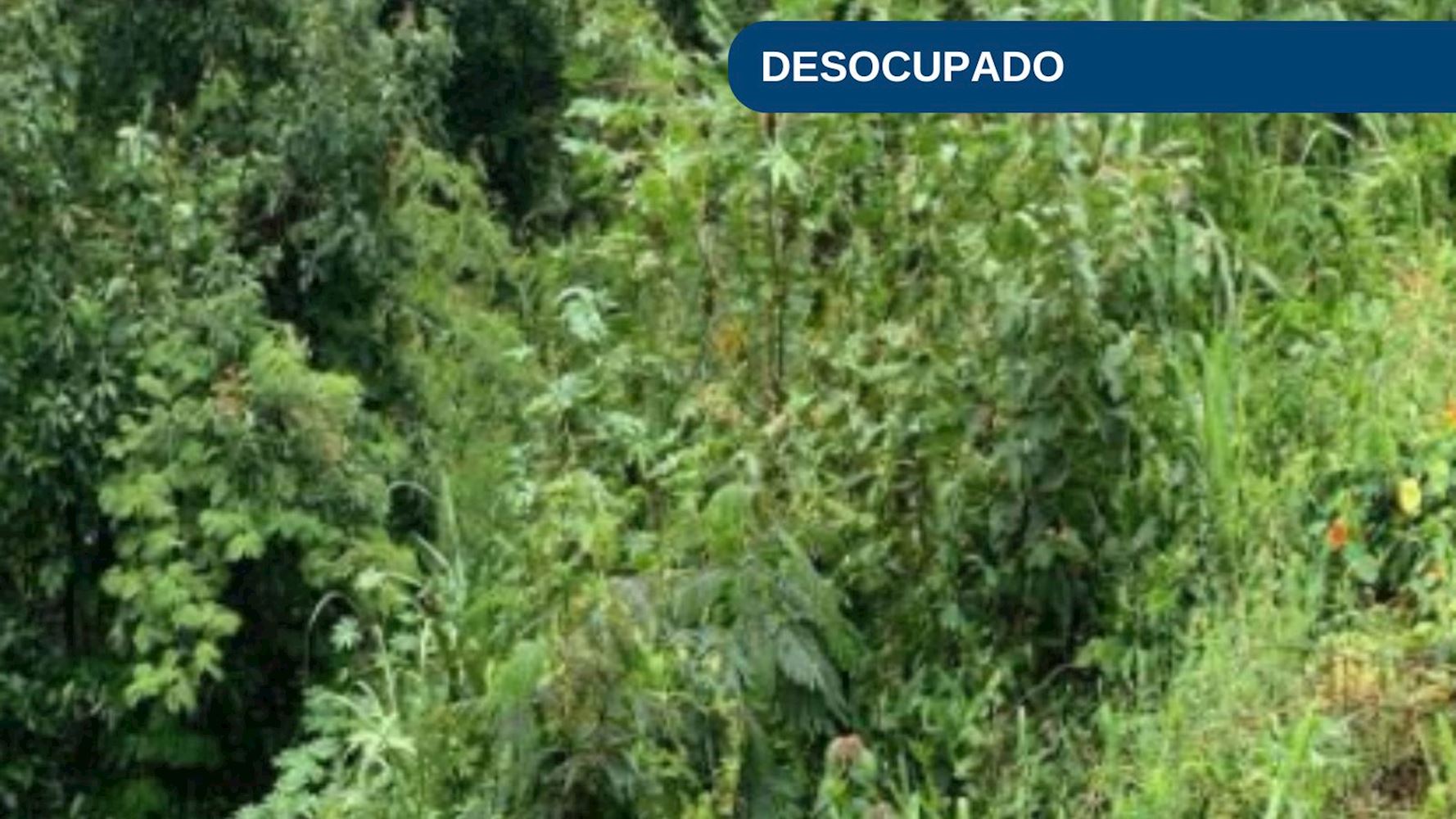 Foto 1 de 6: Terreno em leilão em Joaçaba - SC, bairro Flor da Serra — Terreno no Bairro Flor da Serra em Joaçaba/SC