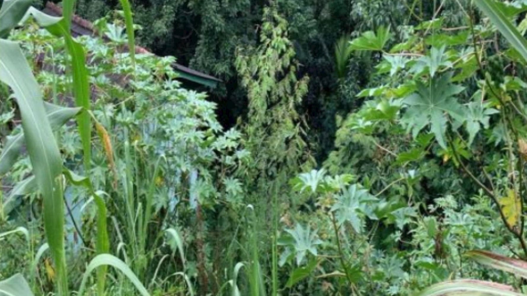 Foto 3 de 6: Terreno em leilão em Joaçaba - SC, bairro Flor da Serra — Terreno no Bairro Flor da Serra em Joaçaba/SC