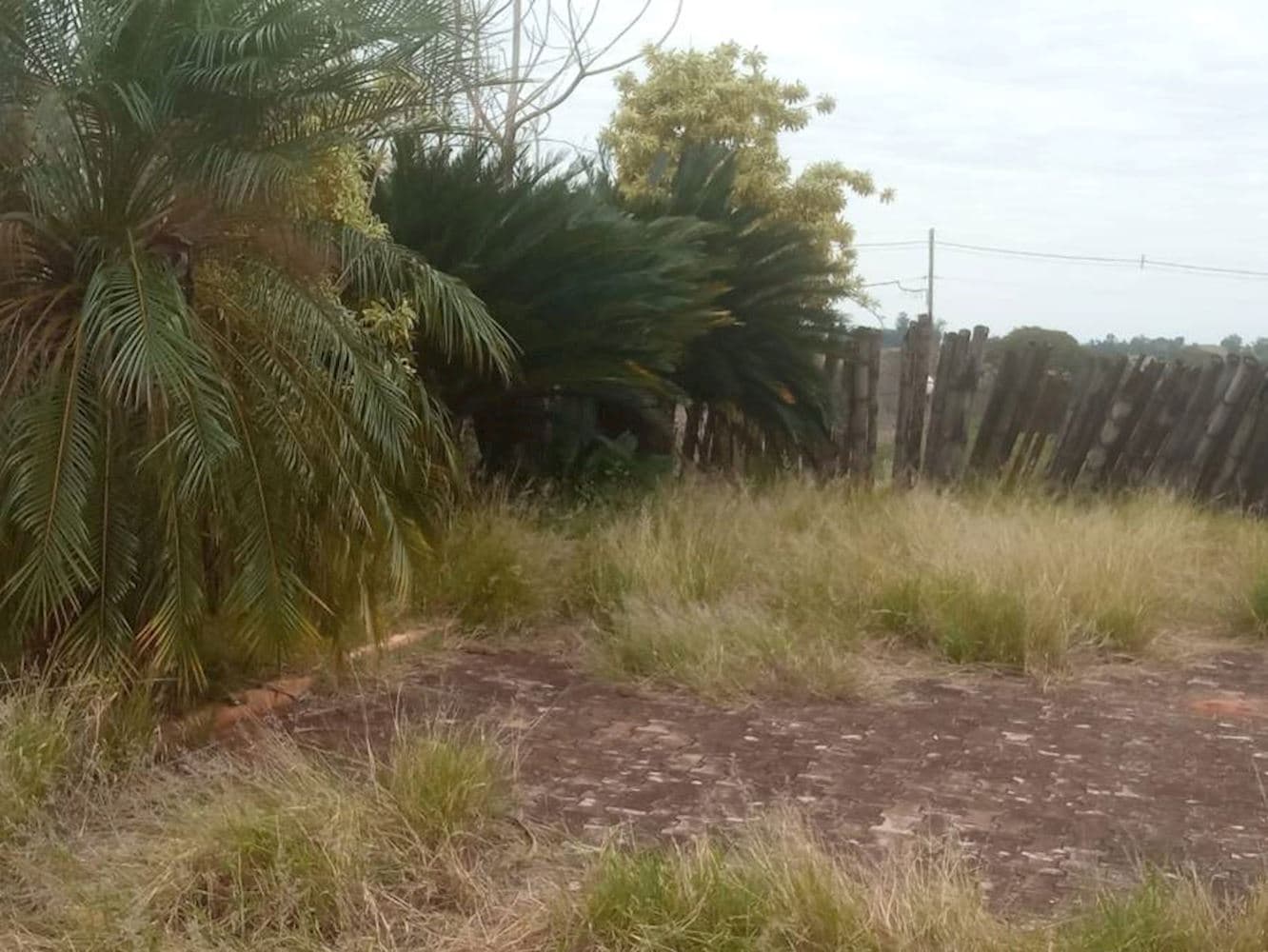 Foto 3 de 9: Terreno em leilão em Pérola - PR — Terreno - Parque Residencial Viva - Pérola/PR