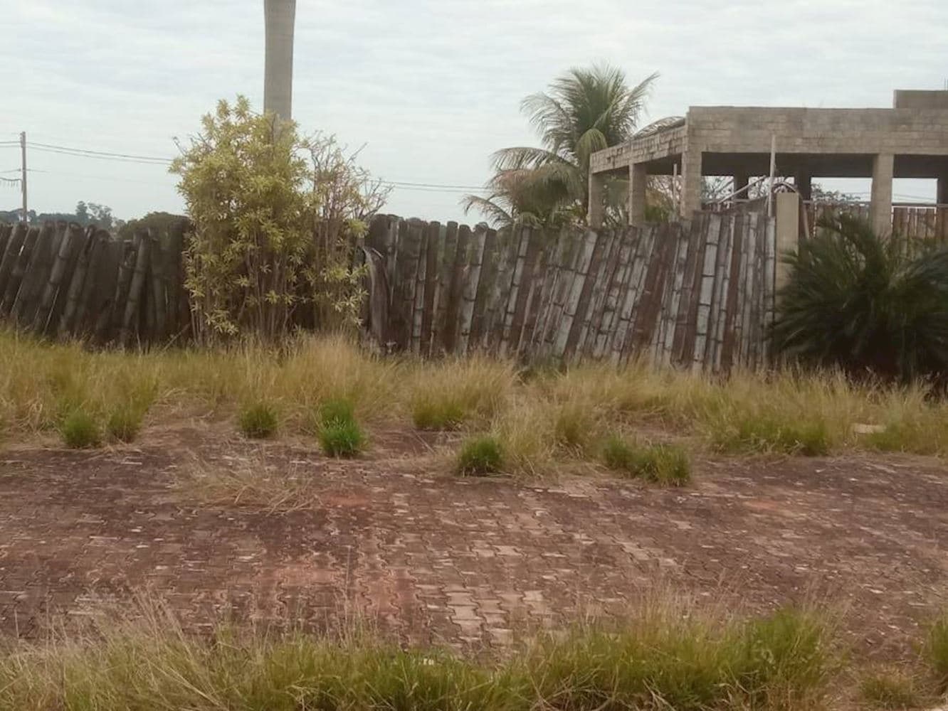 Foto 4 de 9: Terreno em leilão em Pérola - PR — Terreno - Parque Residencial Viva - Pérola/PR
