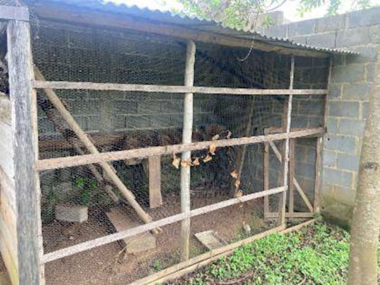 Foto 14 de 15: Casa em leilão em Pindamonhangaba - SP, bairro Nossa Senhora do Perpétuo Socorro — Casa - Nossa Senhora Do Perpétuo Socorro - Pindamonhangaba/SP