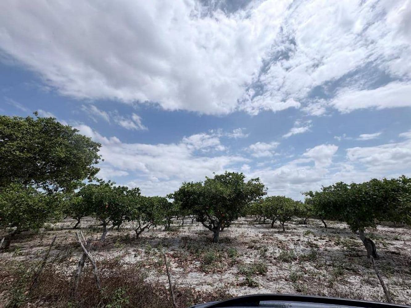Foto 1 de 3: Terreno em leilão em Pacajus - CE, bairro Tiririca — Terreno - Tiririca - Pacajus/CE