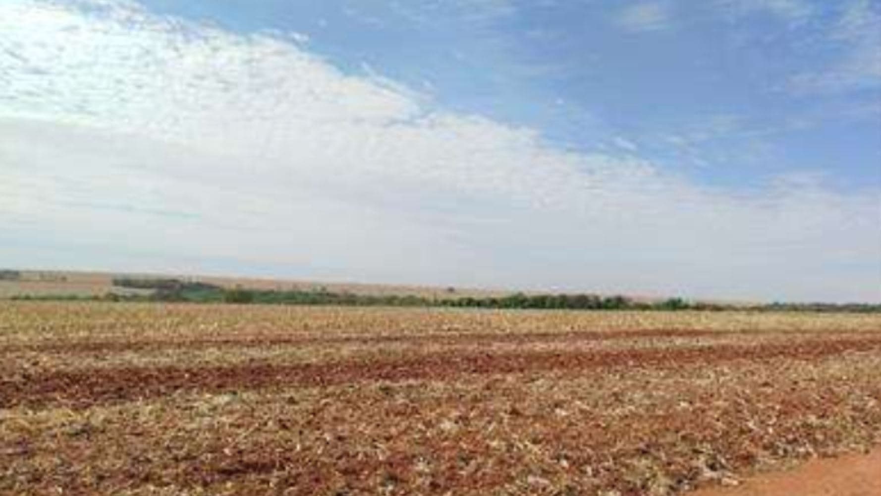 Foto 4 de 6: Terreno em leilão em Montividiu - GO — Terreno na Fazenda Retiro do Bom Jardim em Montividiu/GO