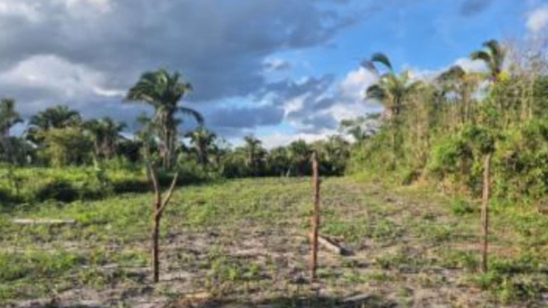 Foto 1 de 5: Terreno em leilão em Chapadinha - MA, bairro Recanto dos Pássaros — Terreno no Recanto dos Pássaros - Chapadinha/MA