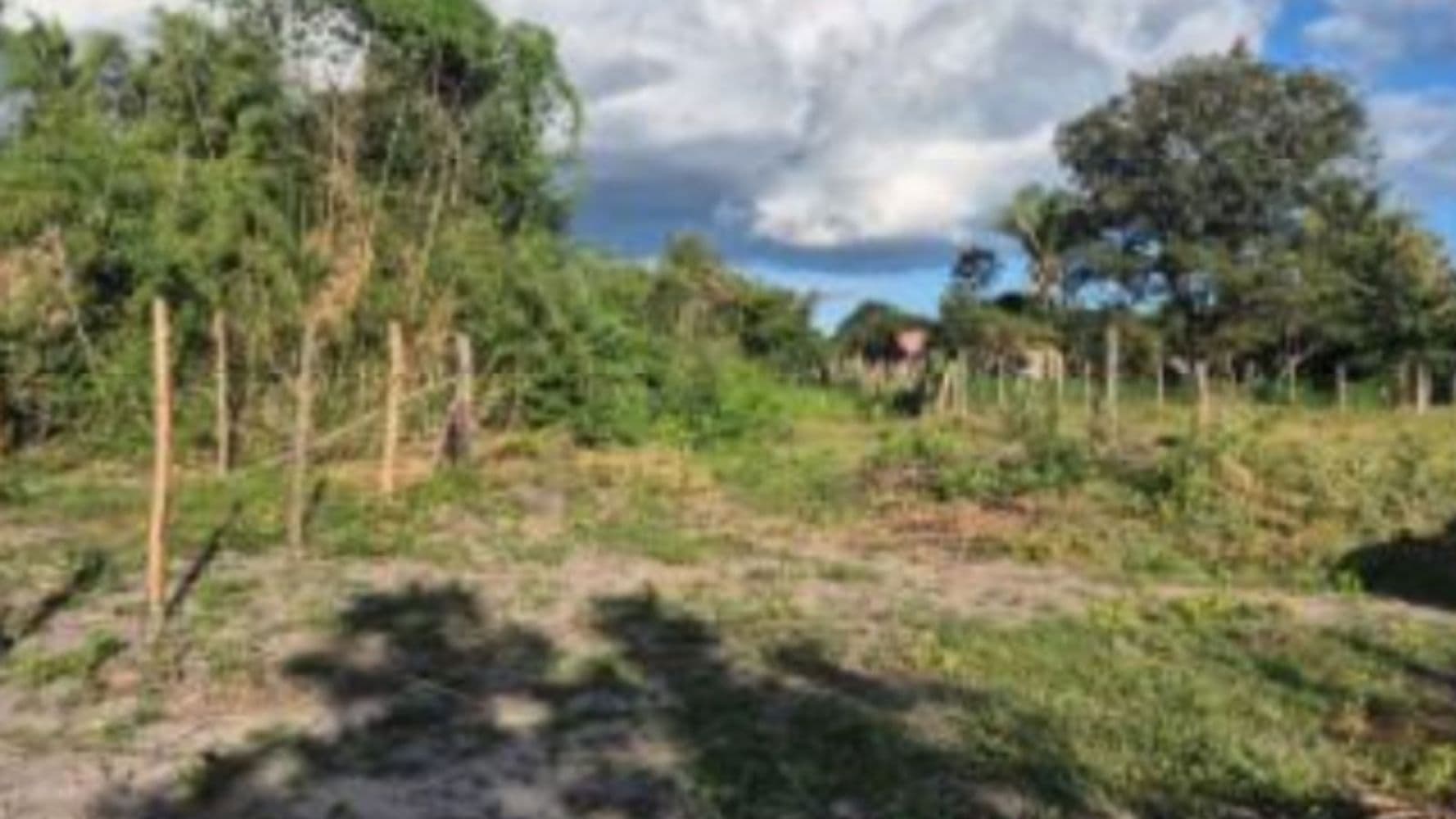 Foto 3 de 5: Terreno em leilão em Chapadinha - MA, bairro Recanto dos Pássaros — Terreno no Recanto dos Pássaros - Chapadinha/MA
