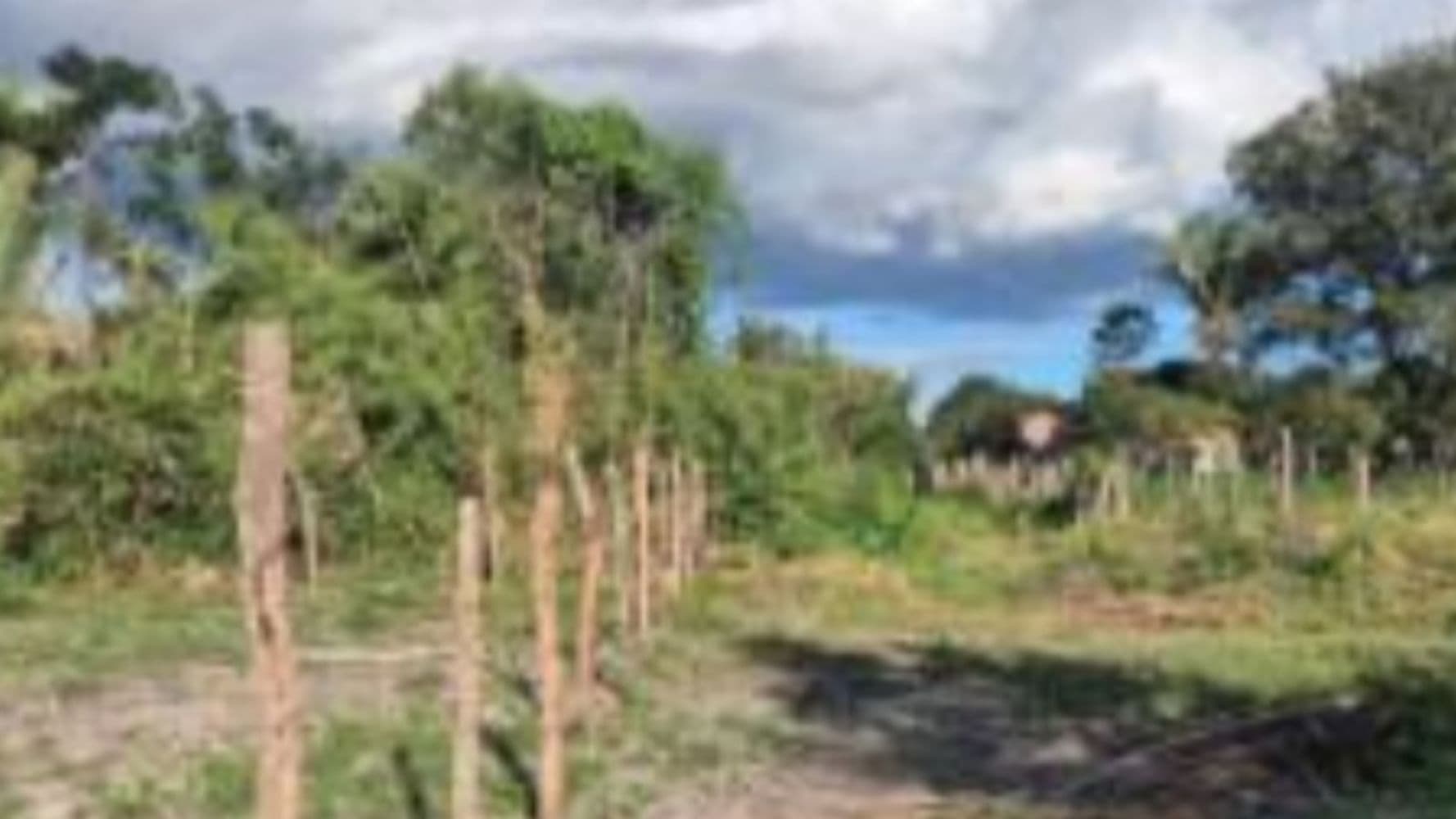 Foto 4 de 5: Terreno em leilão em Chapadinha - MA, bairro Recanto dos Pássaros — Terreno no Recanto dos Pássaros - Chapadinha/MA