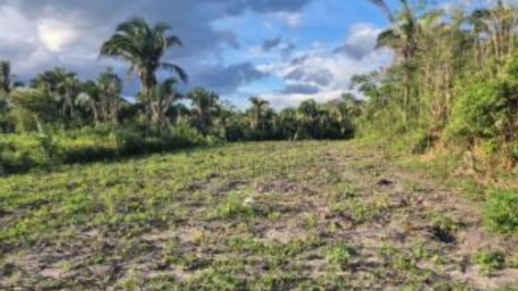 Foto 5 de 5: Terreno em leilão em Chapadinha - MA, bairro Recanto dos Pássaros — Terreno no Recanto dos Pássaros - Chapadinha/MA