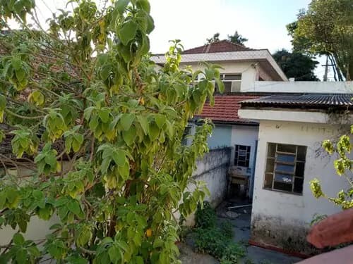 Foto 3 de 4: Casa em leilão em São Paulo - SP — Leilão De Casa - Jardim França - Tucuruvi - São Paulo/sp