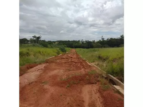 Foto 4 de 13: Terreno em leilão em Dracena - SP — Dracena/sp - Terreno - Desocupado