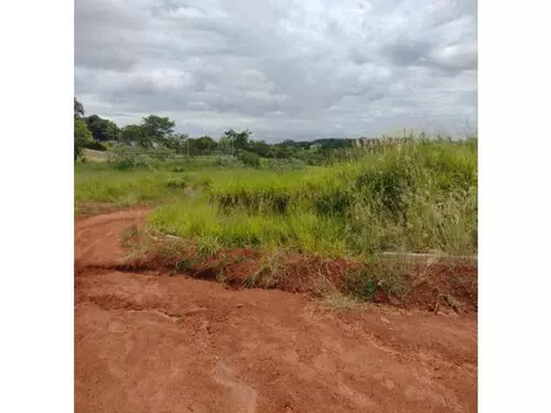Foto 10 de 13: Terreno em leilão em Dracena - SP — Dracena/sp - Terreno - Desocupado
