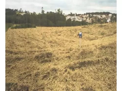 Foto 13 de 13: Terreno em leilão em Dracena - SP — Dracena/sp - Terreno - Desocupado