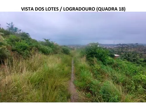 Foto 10 de 23: Terreno em leilão em Timbaúba - PE — Lote 027 Terrenos Desocupados - Araruna Ii - Timbaúba/pe