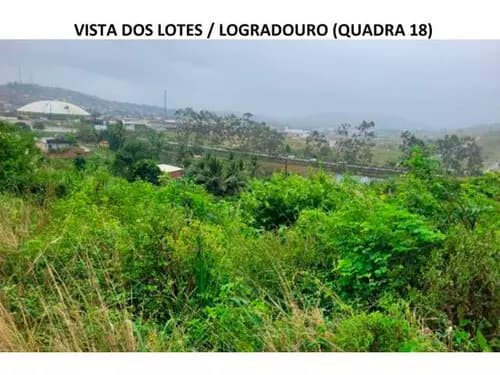 Foto 15 de 23: Terreno em leilão em Timbaúba - PE — Lote 027 Terrenos Desocupados - Araruna Ii - Timbaúba/pe