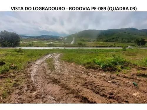 Foto 7 de 23: Terreno em leilão em Timbaúba - PE — Lote 080 Terrenos Desocupados - Araruna Ii - Timbaúba/pe