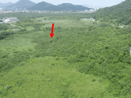 Foto 5 de 16: Terreno em leilão em Guarujá - SP — Oportunidade de Terreno para incorporação residencial, comercial e industrial - 131.431m², sendo 101.000m² plano - Astúrias CING