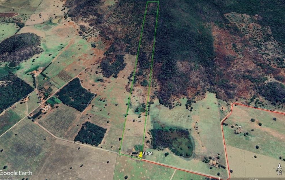 Foto 2 de 3: Area Rural em leilão em Palmas De Monte Alto - BA — Imóvel Rural, a.t 35ha, Fazenda Morro Grande, Palmas de Monte Alto/BA