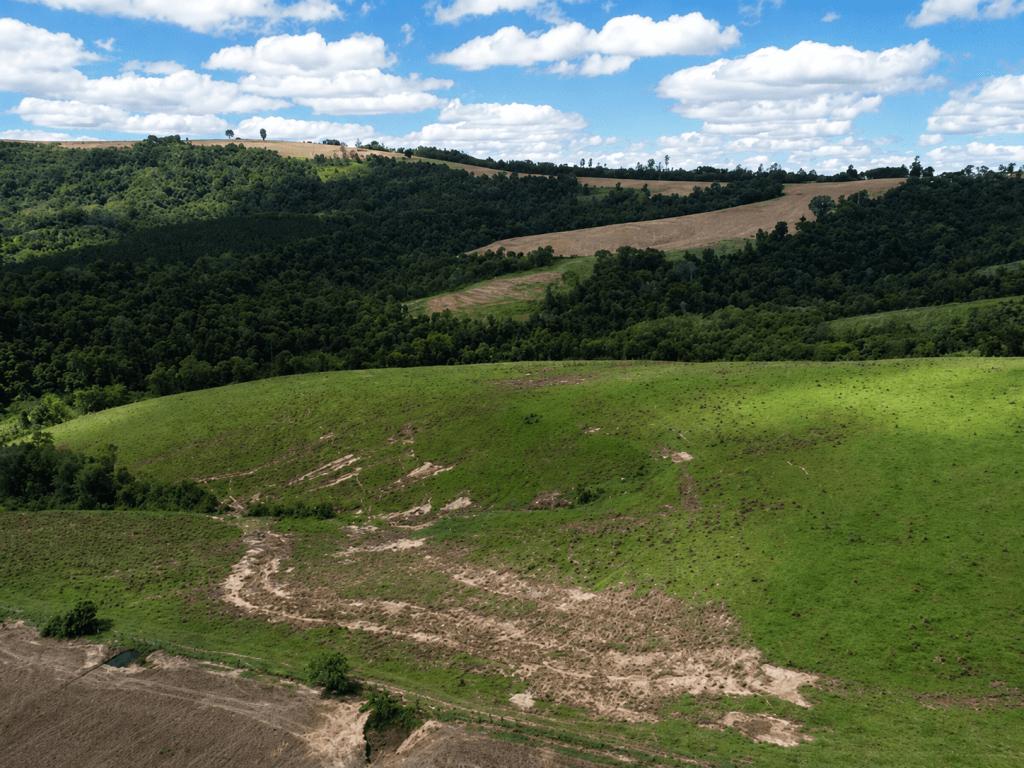 Foto 4 de 4: Area Rural em leilão em Itaberá - SP — Imóvel Rural, 29,04 hectares, Itaberá/SP