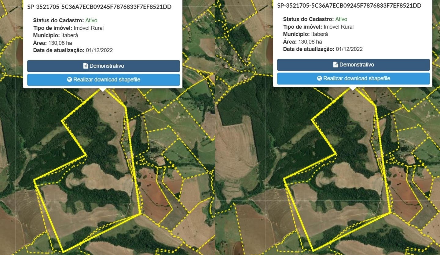 Foto 3 de 3: Area Rural em leilão em Itaberá - SP — Imóvel Rural, 29,04 hectares, Itaberá/SP