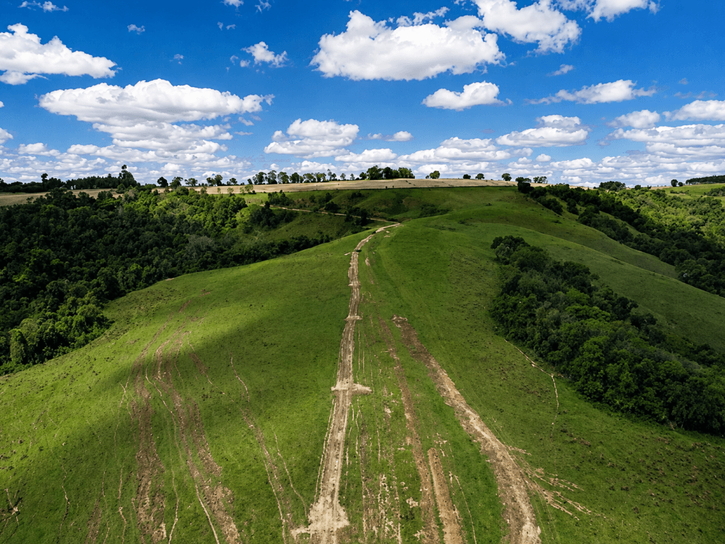 Foto 2 de 4: Area Rural em leilão em Itaberá - SP — Imóvel Rural, 29,04 hectares, Itaberá/SP