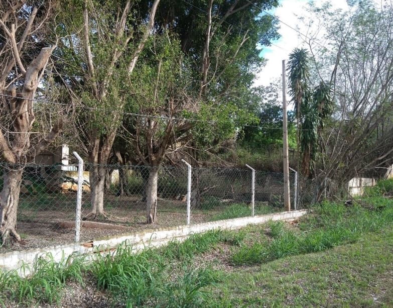 Foto 5 de 10: Comercial em leilão em Glicério - SP — Imóvel Comercial, 9.675,00m², Parque Industrial, Glicério/SP