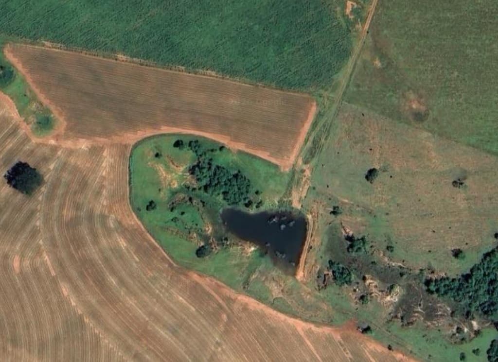 Foto 4 de 6: Area Rural em leilão em Paraguaçu Paulista - SP — Fazenda Argentina, 169,4 Hectares, Oscar Bressane/SP