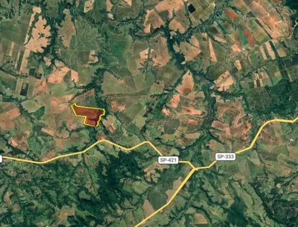 Foto 6 de 6: Area Rural em leilão em Paraguaçu Paulista - SP — Fazenda Argentina, 169,4 Hectares, Oscar Bressane/SP