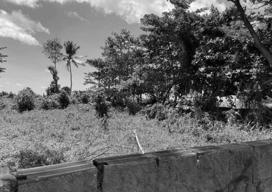 Foto 4 de 4: Terreno em leilão em Jaboatão Dos Guararapes - PE — Lote de Terreno, 390m², Guararapes/PE