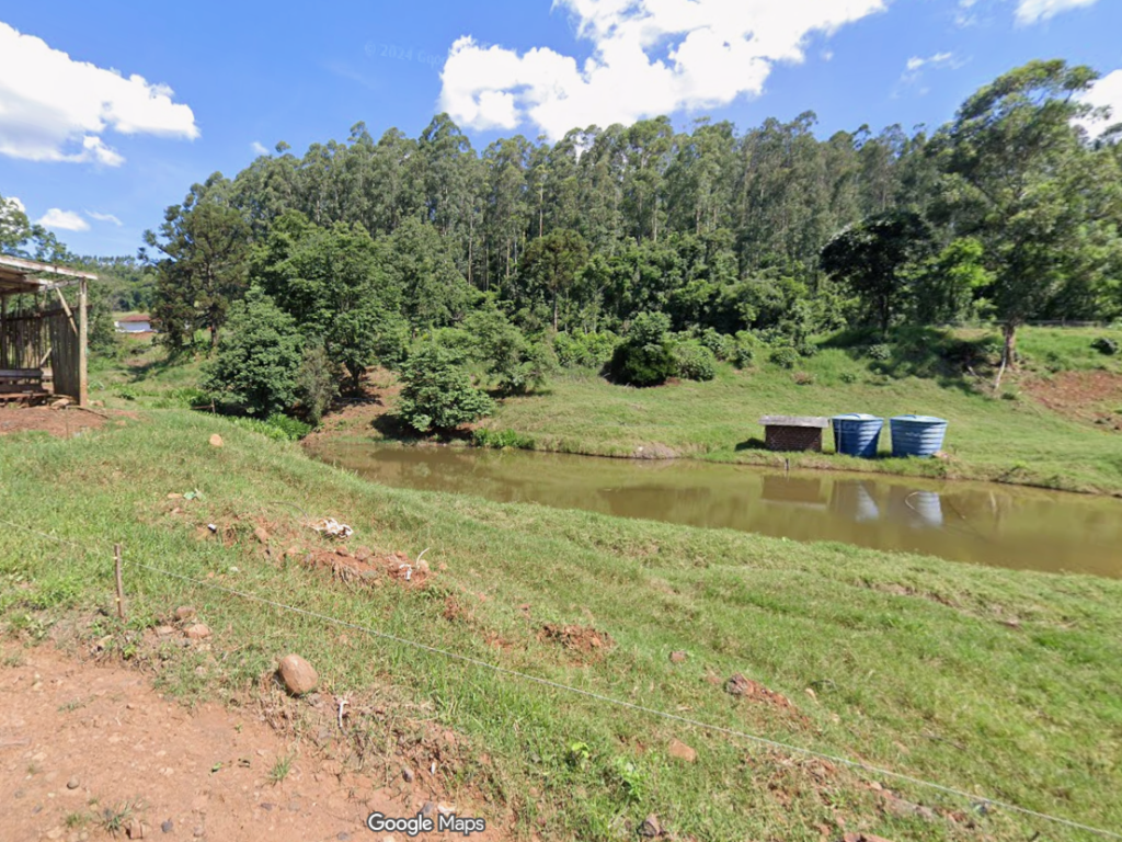 Foto 3 de 4: Area Rural em leilão em Nova Itaberaba - SC — Imóvel Rural, 24.200,00m², Nova Itaberabam Chapecó/SC